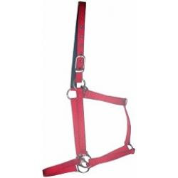 Nylon Race Halter - Horse